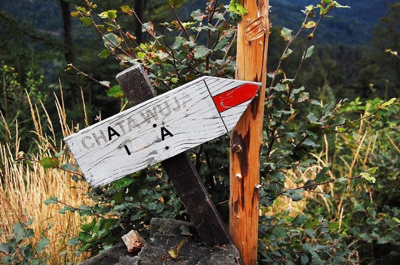 Mindful Walking Trails